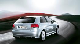 Audi S3 II - widok z tyłu