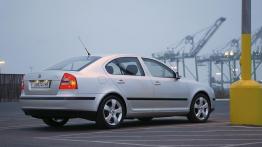 Skoda Octavia II - widok z tyłu