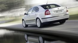 Skoda Octavia II - widok z tyłu
