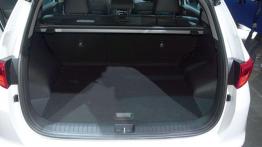 Frankfurt Motor Show 2015 - dalekowschodnie nowości