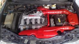 Fiat Brava  - galeria społeczności - maska otwarta