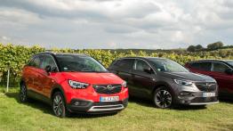 Opel Grandland X – trzeci „X” do kolekcji