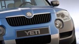 Skoda Yeti - widok z przodu