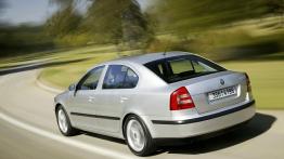 Skoda Octavia II - widok z tyłu