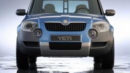 Skoda Yeti - widok z przodu