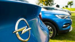 Opel Grandland X – trzeci „X” do kolekcji