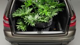 Mercedes E 500 W212 kombi - bagażnik