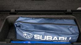 Subaru Levorg 1.6 GT. Rajdowe kombi?