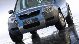 Skoda Yeti - widok z przodu