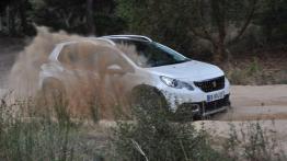 Peugeot 2008 – Drobne poprawki