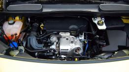 Ford Tourneo Connect - dla aktywnych rodzin