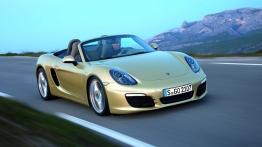 Porsche Boxster 981 Cabrio - prawy bok