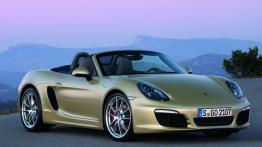 Porsche Boxster 981 Cabrio