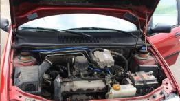 Fiat Palio Weekend - bez prestiżu, ale tanio