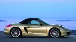 Porsche Boxster 981 Cabrio - prawy bok