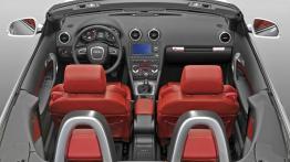 Audi A3 Cabrio - widok ogólny wnętrza z przodu