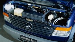 Mercedes Vario - silnik