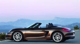 Porsche Boxster 981 Cabrio - lewy bok