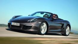 Porsche Boxster 981 Cabrio - lewy bok