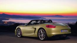 Porsche Boxster 981 Cabrio - widok z tyłu