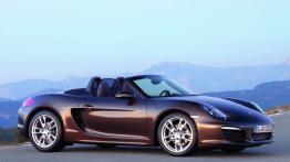 Porsche Boxster 981 Cabrio - prawy bok