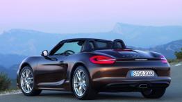 Porsche Boxster 981 Cabrio - widok z tyłu