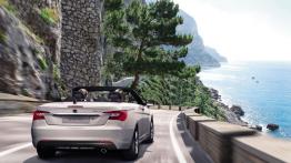 Lancia Flavia Cabrio - widok z tyłu