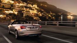 Lancia Flavia Cabrio - widok z tyłu