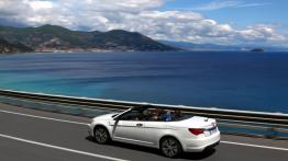 Lancia Flavia Cabrio - widok z góry