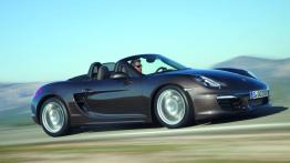 Porsche Boxster 981 Cabrio - prawy bok
