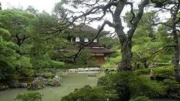 Sushi, sashimi, Toyota, Shinkansen, Fuji i boski wiatr. Motoświat część druga - Japonia