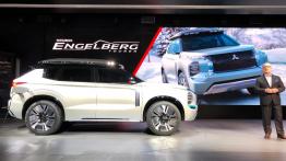 Modele Mitsubishi jako... domowa elektrownia