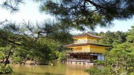 Sushi, sashimi, Toyota, Shinkansen, Fuji i boski wiatr. Motoświat część druga - Japonia