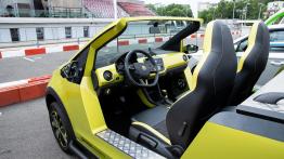 Jeździliśmy Skodą Mountiaq, samochodem nie do kupienia