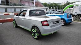 Jeździliśmy Skodą Mountiaq, samochodem nie do kupienia