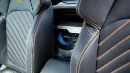 Jeździliśmy Skodą Mountiaq, samochodem nie do kupienia