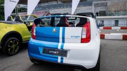 Jeździliśmy Skodą Mountiaq, samochodem nie do kupienia