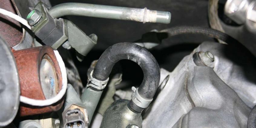 Małe i niedoceniane