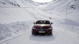 Mercedes CLS 500 Shooting Brake 4MATIC - widok z przodu