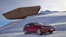 Mercedes CLS 500 Shooting Brake 4MATIC - prawy bok