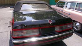 Amerykanin urodzony w Turynie