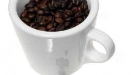Kawa - czarny eliksir na zmęczenie