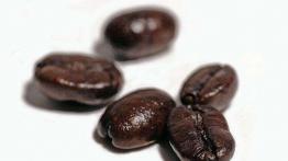 Kawa - czarny eliksir na zmęczenie