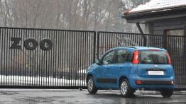 Fiat Panda III - prezentacja w Warszawie - widok z tyłu