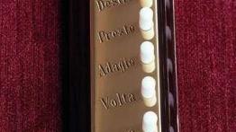 W papieskiej służbie