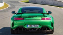 Mercedes AMG GT R już oficjalnie