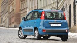 Fiat Panda III - prezentacja w Warszawie - widok z tyłu