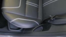 Ford Focus - Zimowe marzenie