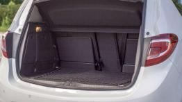 Opel Meriva 1.6 CDTI Ecotec - na ratunek rodzinie