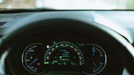 Toyota RAV4. Nadal w formie